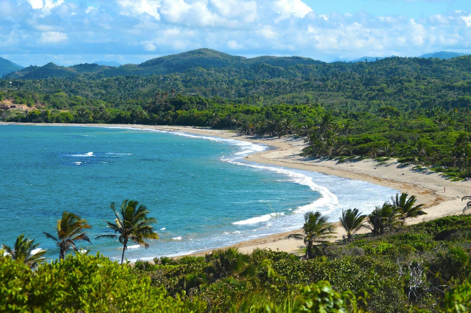 Palm-lined cove with turquoise water on the Dominican Republic’s north coast